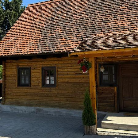 Willa Casuta Cu Tihna Porumbacu de Sus Zewnętrze zdjęcie